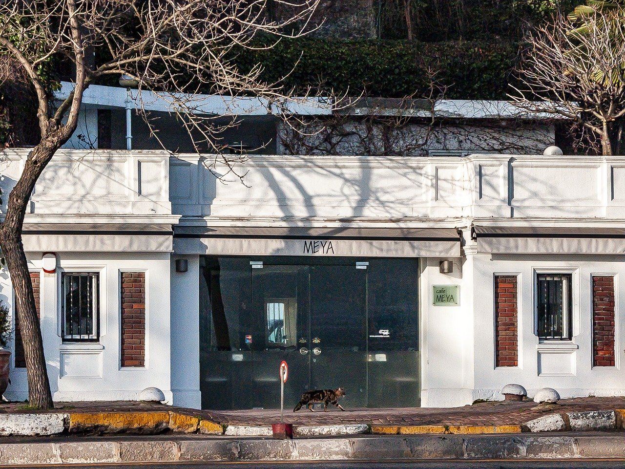Mejores cafeterías en Vigo