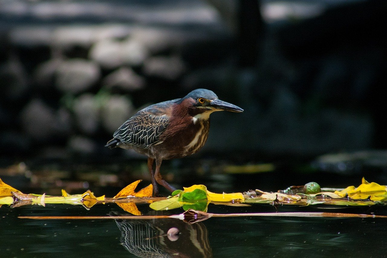 Sueldos y retribuciones en el Ayuntamiento de Vigo