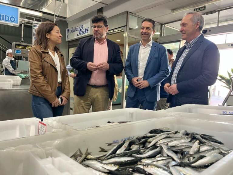 Mejora-del-mercado-de-suministros-de-Dena-un-espacio-de.jpeg