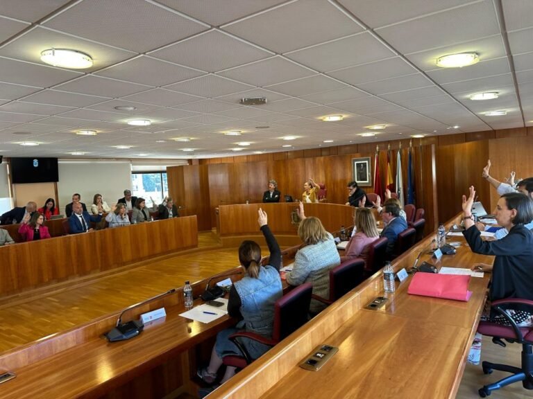 Reunion-plenaria-de-la-Xunta-de-Galicia-para-asignar-trama.jpeg