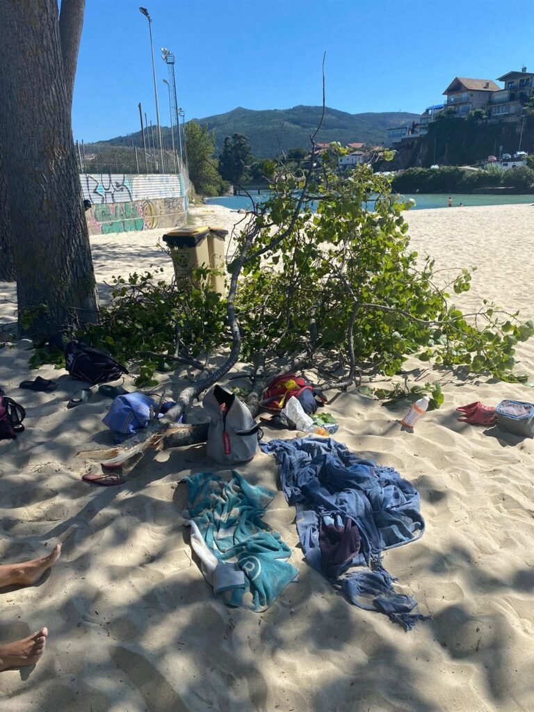 Herida-grave-una-mujer-por-caida-de-rama-en-playa.jpg