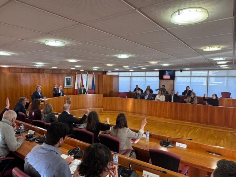 Momento da votación no Pleno Extraordinario